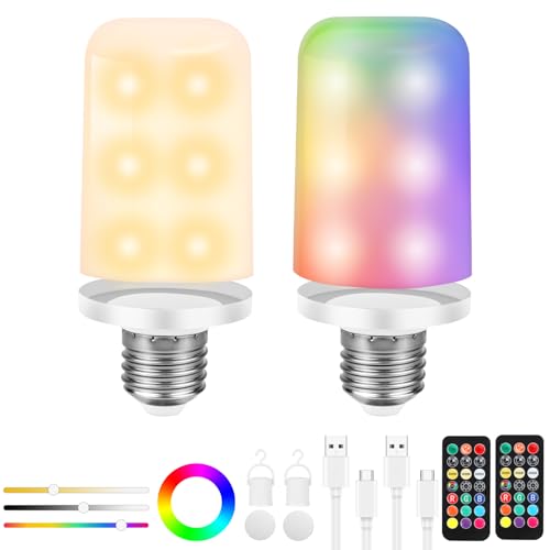 Birnetek Aufladbare Glühbirne, E27 Wiederaufladbare Glühbirne, USB-C Akku Glühbirne mit Fernbedienung, 6W Tastensteuerung Dimmbare LED Akku Glühbirne mit Timing-funktion,2 Stück (Mattausführung) von Birnetek