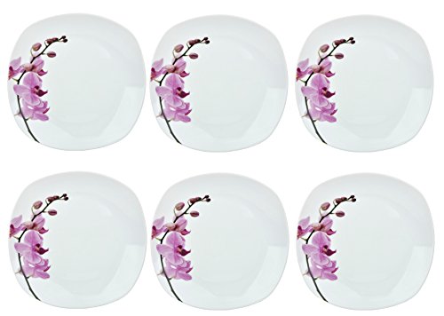 Birsppy Van Well 6er Set Speiseteller Kyoto, 250 x 250 mm, Menü-Teller, großer Essteller, Servierteller, Porzellan-Geschirr, Blumen-Dekor Orchidee, rosa-rot, pink von Van Well