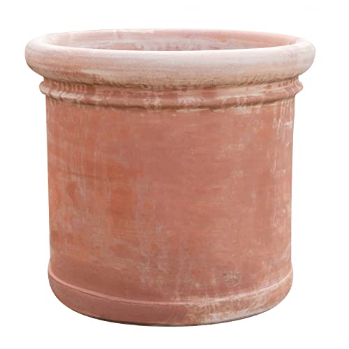 Biscottini Pflanztopf für den Außenbereich, 62 x 55 x 62 cm – Vase aus Terrakotta, hergestellt in Italien – großer Pflanztopf Biscottini Pflanztopf für den Außenbereich, 62 x 55 x 62 cm – Vase aus Terrakotta, hergestellt in Italien – großer Pflanztopf von Biscottini