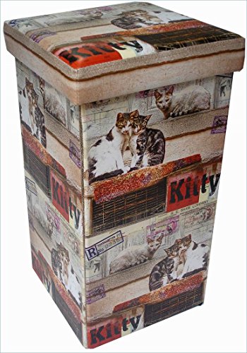 Biscottini Pouf wiederverschließbar | Kunstleder 32x32x60 cm Sitzhocker mit stauraum | Spielzeugkiste mit Deckel | Spielkiste Kunstleder | Sitzwürfel von Biscottini