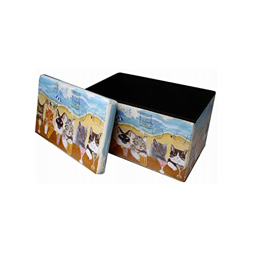 Biscottini Sitzsack für Kinder und Erwachsene 60 x 35 x 35 cm | wiederverschließbare Aufbewahrungsboxen mit Deckel | Sitzsack quadratisch mit Dekor von Biscottini