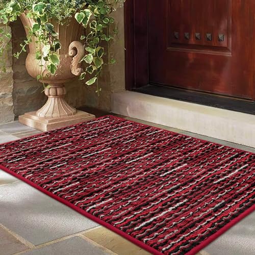 Biscpro Fußmatte 60x90cm Schmutzfangmatte Innen,rutschfeste Waschbar Fussmatte,Sauberlaufmatte Teppich Floor Mat für Eingangsbereich,Haustür,Patio,Flur,Garten,Porch von Biscpro