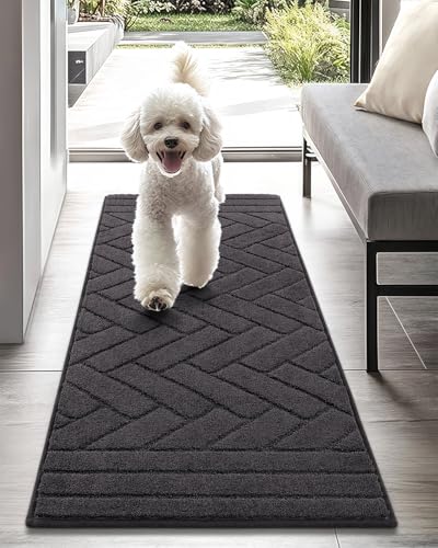 Biscpro Schmutzfangmatte Innen Lang 50x120cm,Waschbarer rutschfeste Fußmatte Wasserabsorbierenden Sauberlaufmatte Teppich Läufer Flur,Fussmatte für Hund,Eingang,Flur,Küchen-Anthrazit von Biscpro