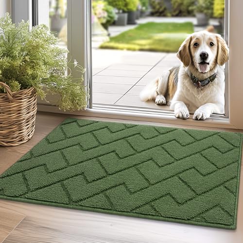 Biscpro Fußmatte Grün 50 * 80cm Innen Außen Waschbar eingangsteppich innen Schmutzfangmatte rutschfest,Türmatte Innen Teppich für Eingang, Patio, Flur, Garten von Biscpro