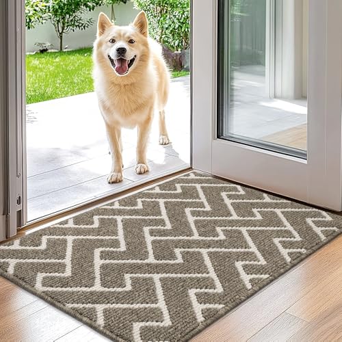 Biscpro Fußmatte Innen, Wasserdicht Türmatte Schmutzfangmatte rutschfest Fussmatte Innen (Beige, 50 x 80 cm) von Biscpro