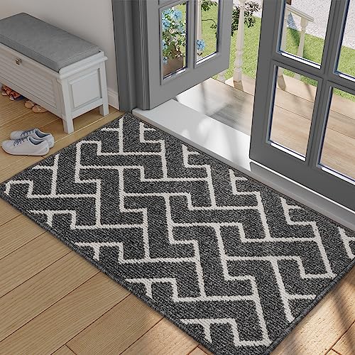 Biscpro Paillasson Intérieur Tapis Entrée Intérieur Extérieur Imperméable, Antidérapant, Absorbant, Tapis Pour Entrée, Lavable, Cuisine, Salle de Bain (60 * 90 cm, Grey) von Biscpro