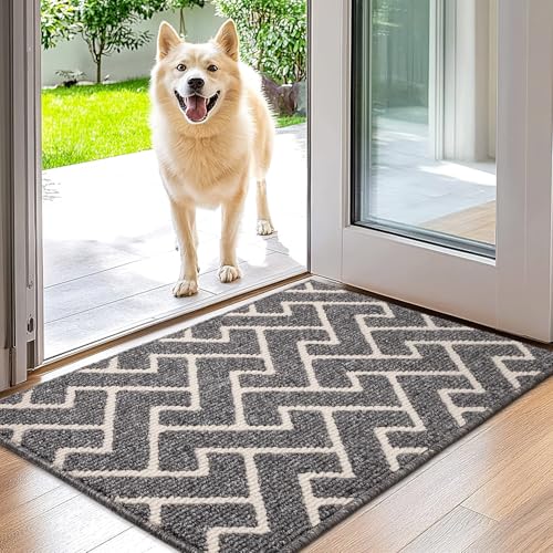 Biscpro Fußmatte Innen 50 x 80 cm, Wasserdicht Türmatte Schmutzfangmatte rutschfest Fussmatte Innen für Eingang, Flur, Garten, Innen, Haustier von Biscpro