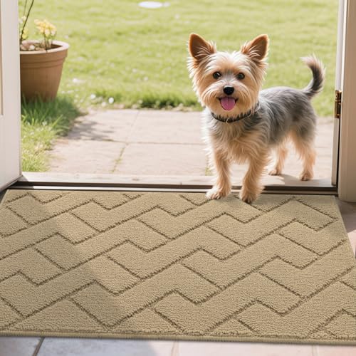 Biscpro Fußmatte Innen Außen Waschbar eingangsteppich innen Schmutzfangmatte rutschfest,Türmatte Innen Teppich für Eingang, Patio, Flur, Garten, Innen und Außen (Beige, 50 x 80 cm) von Biscpro