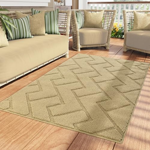 Biscpro Fußmatte Innen Außen Waschbar eingangsteppich innen Schmutzfangmatte rutschfest,Türmatte Innen Teppich für Eingang, Patio, Flur, Garten, Innen und Außen (Beige, 90 x 150 cm) von Biscpro