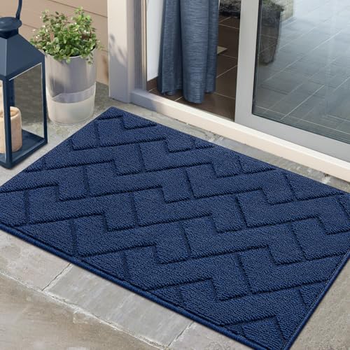 Biscpro Fußmatte Innen Außen Waschbar eingangsteppich innen Schmutzfangmatte rutschfest,Türmatte Innen Teppich für Eingang, Patio, Flur, Garten, Innen und Außen (Blau, 60 x 90 cm) von Biscpro