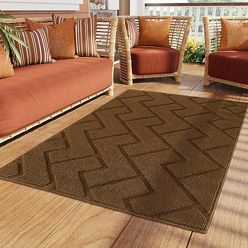 Biscpro Fußmatte Innen Außen Waschbar eingangsteppich innen Schmutzfangmatte rutschfest,Türmatte Innen Teppich für Eingang, Patio, Flur, Garten, Innen und Außen (Dark Brown, 90 x 150 cm) von Biscpro