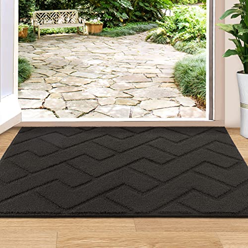 Biscpro Fußmatte Innen Außen 80 x 100 cm Waschbar Eingangsteppich Innen Schmutzfangmatte rutschfest,Türmatte Innen Teppich Für Eingang, Patio, Flur, Garten, Innen und Außen -Dunkelgrau von Biscpro