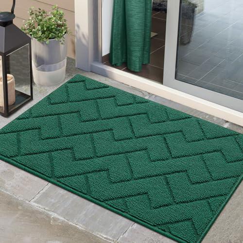 Biscpro Fußmatte Innen Außen Waschbar eingangsteppich 60 x 90 cm innen Schmutzfangmatte rutschfest,Türmatte Innen Teppich für Eingang, Patio, Flur, Garten, Innen und Außen (Evergreen) von Biscpro