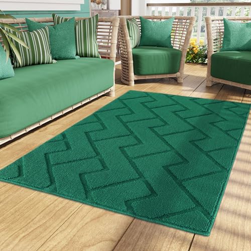 Biscpro Fußmatte Innen Außen Waschbar eingangsteppich innen Schmutzfangmatte rutschfest,Türmatte Innen Teppich für Eingang, Patio, Flur, Garten, Innen und Außen (Evergreen, 90 x 150 cm) von Biscpro