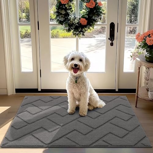 Biscpro Fußmatte Innen 80 x 100 cm, Schmutzfangmatte rutschfest Fussmatte Innen Waschbar Eingangsteppich Innen Fussmatten Haustür dünn Innen für Eingang, Flur, Garten, Innen, Haustier- Grau von Biscpro