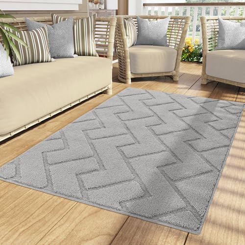 Biscpro Fußmatte Innen Außen Waschbar eingangsteppich innen Schmutzfangmatte rutschfest,Türmatte Innen Teppich für Eingang, Patio, Flur, Garten, Innen und Außen (Light Grey, 90 x 150 cm) von Biscpro