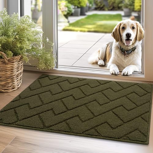 Biscpro Fußmatte Innen Außen Waschbar eingangsteppich innen Schmutzfangmatte rutschfest,Türmatte Innen Teppich für Eingang, Patio, Flur, Garten, Innen und Außen (Oliver Green, 50 x 80 cm) von Biscpro