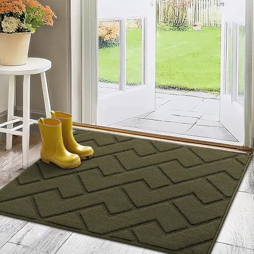 Biscpro Fußmatte Innen Außen Waschbar eingangsteppich innen Schmutzfangmatte rutschfest,Türmatte Innen Teppich für Eingang, Patio, Flur, Garten, Innen und Außen (Oliver Green, 80 * 100 cm) von Biscpro