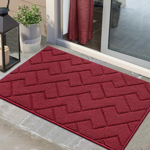 Biscpro Fußmatte Innen Außen Waschbar eingangsteppich innen Schmutzfangmatte rutschfest,Türmatte Innen Teppich für Eingang, Patio, Flur, Garten, Innen und Außen (Rot, 60 x 90 cm) von Biscpro