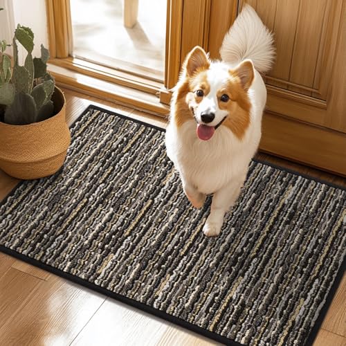 Biscpro Fußmatte Schmutzfangmatte Innen 50x80cm rutschfeste Waschbar Fussmatte,Sauberlaufmatte Teppich für Eingangsbereich,Haustür,Patio,Flur,Garten,Porch-Black von Biscpro