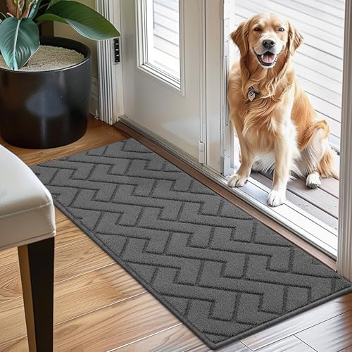 Biscpro Innen Außen Fußmatte 50 x 120 cm, Schmutzfangmatte rutschfest Fussmatte Innen Waschbar Eingangsteppich Innen Fussmatten Haustür dünn Innen für Eingang, Flur, Garten, Innen, Haustier - Grau von Biscpro