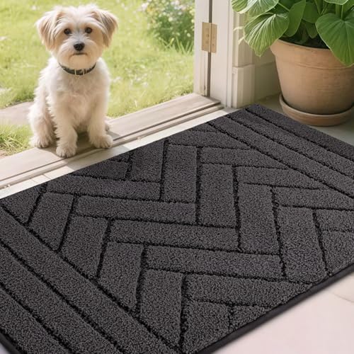 Biscpro Schmutzfangmatte Innen 50x80cm,Waschbarer rutschfeste Fußmatte Wasserabsorbierenden Sauberlaufmatte Eingangsteppich,Hundeteppich,Fussmatte für Hund, Eingang, Haustür,Flur-Anthrazit von Biscpro