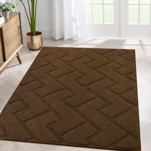 Biscpro Teppich Läufer,80x120cm Waschbarer rutschfest Schmutzfangmatte Teppich läufer für Eingangsbereich Wohnzimmer,Flur,Büro,Schlafzimmer,Küchen-Braun von Biscpro