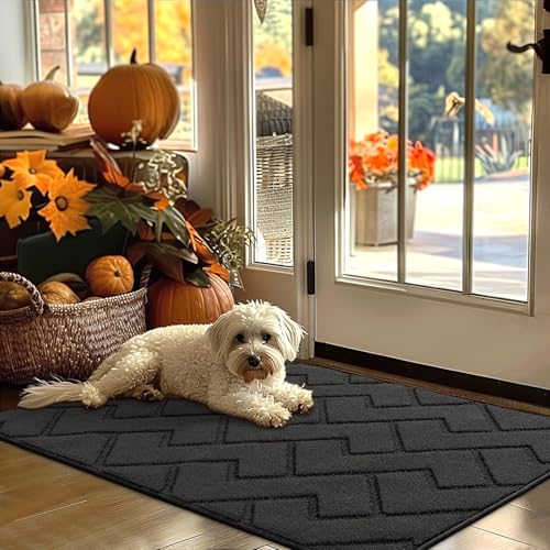 Biscpro Fußmatte Dunkelgrau 80x120cm Innen und Außen, Waschbar Fussmatt, Wasserdicht Türmatte, Rutschfester Schmutzfänger Teppich für Eingang, Haustür, Patio, Flur von Biscpro
