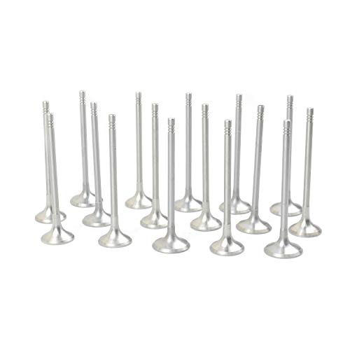 Bisenya 8*Einlassventile+8*Auslassventile Kompatibel mit 1 2 3 4 5 6 7er E81 E87 F20 F21 F23 F22 F30 E90 E60 F12 F01 F02 F03 F04 X1 X3 X4 X5 X6 11127797711 11347797712 von Bisenya