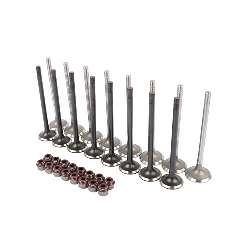 Bisenya 8x Einlassventil + 8x Auslassventil Kompatibel mit 1.2 1.4 1.6 FSI 12V 16V BWK CAVA CAVD ARC AVY ATN 036109611K 036109601S Bisenya 8x Einlassventil + 8x Auslassventil Kompatibel mit 1.2 1.4 1.6 FSI 12V 16V BWK CAVA CAVD ARC AVY ATN 036109611K 036109601S von Bisenya