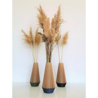 Getrocknete Blumenvase Getrocknete Blumenvase von Bishoop