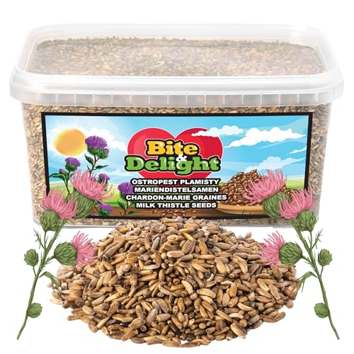 Bite & Delight Mariendistelsamen - Mariendistel natürlich - Mariendistel Samen - Tee - Mariendisteltee - Milk Thistle - Silybum marianum - Kräutertee - Silybum Marianum - 5000 ml von Bite & Delight