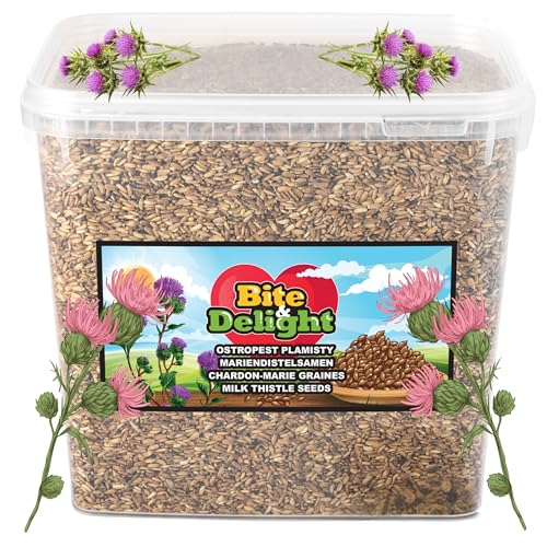Bite & Delight Mariendistelsamen - Mariendistel natürlich - Mariendistel Samen - Tee - Mariendisteltee - Milk Thistle - Silybum marianum - Kräutertee - Silybum Marianum - 6kg von Bite & Delight