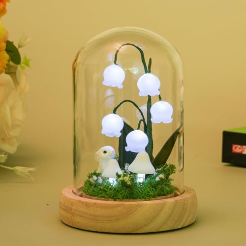 Bixufcai Geschenke für Frauen Weiße Glockenorchidee im Glaskuppel mit LED-Lichter Geschenke für Romantisch Dekoration Geschenk zum Muttertag Valentinstag Jubiläum Geburtstag Hochzeit Weihnachten von Bixufcai