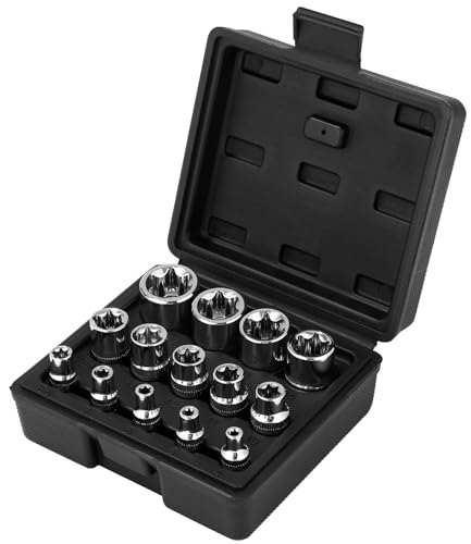 Bixury 14tlg Torx Nuss Set Torx Steckschlüssel Satz E Profil Stecknüsse Steckschlüssel Satz Außentorx 1/4 Zoll 3/8 Zoll und 1/2 Zoll Stecknüsse E4 E5 E6 E7 E8 E10 E11 E12 E14 E16 E18 E20 E22 E24 von Bixury