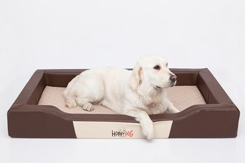 Bjird Hundebett - Hundekorb für kleine mittelgroße & große Hunde - Hundekissen - Hundesofa aus Kunstleder - Bezug abnehmbar und waschbar - Deluxe - Größe: M - Braun von Bjird