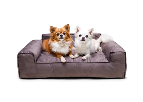 Bjird Hundebett - Hundekorb für kleine mittelgroße & große Hunde - Hundekissen - Hundesofa - Bezug abnehmbar und waschbar - Glamour New - Größe: M: 78 x 53 cm - Braun Fancy von Bjird