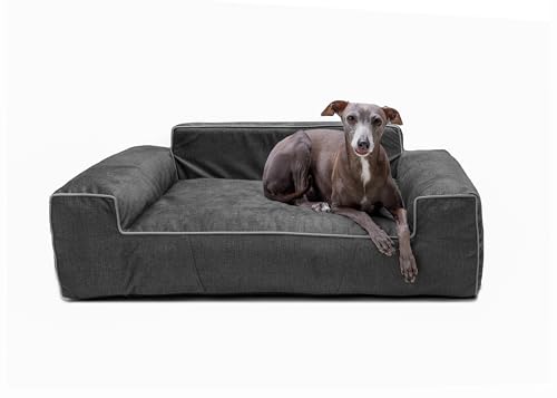 Bjird Hundebett - Hundekorb für kleine mittelgroße & große Hunde - Hundekissen - Hundesofa - Bezug abnehmbar und waschbar - Glamour New - Größe: M: 78 x 53 cm - Schwarz Fancy von Bjird