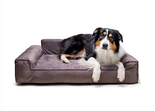 Bjird Hundebett - Hundekorb für kleine mittelgroße & große Hunde - Hundekissen - Hundesofa - Bezug abnehmbar und waschbar - Glamour New - Größe: L: 98 x 66 cm - Braun Fancy von Bjird