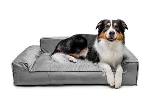 Bjird Hundebett - Hundekorb für kleine mittelgroße & große Hunde - Hundekissen - Hundesofa - Bezug abnehmbar und waschbar - Glamour New - Größe: L: 98 x 66 cm - Grau Fancy von Bjird