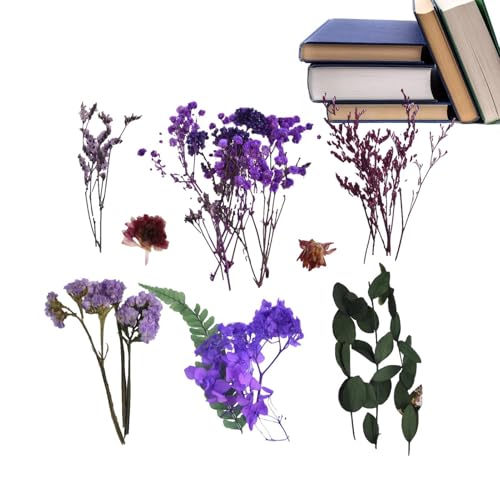 Bkljkf Getrocknete Für Vase Mit Stielen | Konservierte Natürliche Getrocknete Wild- Saisonale Deko Für Garten Hochzeit Weihnachtsmarkt Adventsdekoration Brautdusche Festtagsdeko von Bkljkf