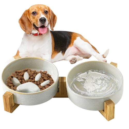 Bkljkf Hundefutternapf Slow Feeder, Süße Keramik Slow Feeder Und Wassernapf Set, Futternapf Und Trinknapf Zuhause Garten Camping Bkljkf Hundefutternapf Slow Feeder, Süße Keramik Slow Feeder Und Wassernapf Set, Futternapf Und Trinknapf Zuhause Garten Camping von Bkljkf