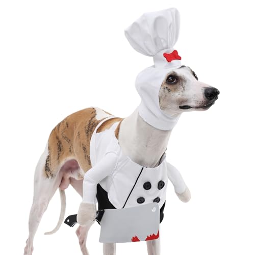 Bkljkf Katzenkostüme Für Halloween - Lustige Hundekoch Kostüme - Atmungsaktive Gruselige Outfits Haustierzubehör Für Fotoaufnahmen Geburtstagsparty Fest Bkljkf Katzenkostüme Für Halloween - Lustige Hundekoch Kostüme - Atmungsaktive Gruselige Outfits Haustierzubehör Für Fotoaufnahmen Geburtstagsparty Fest von Bkljkf