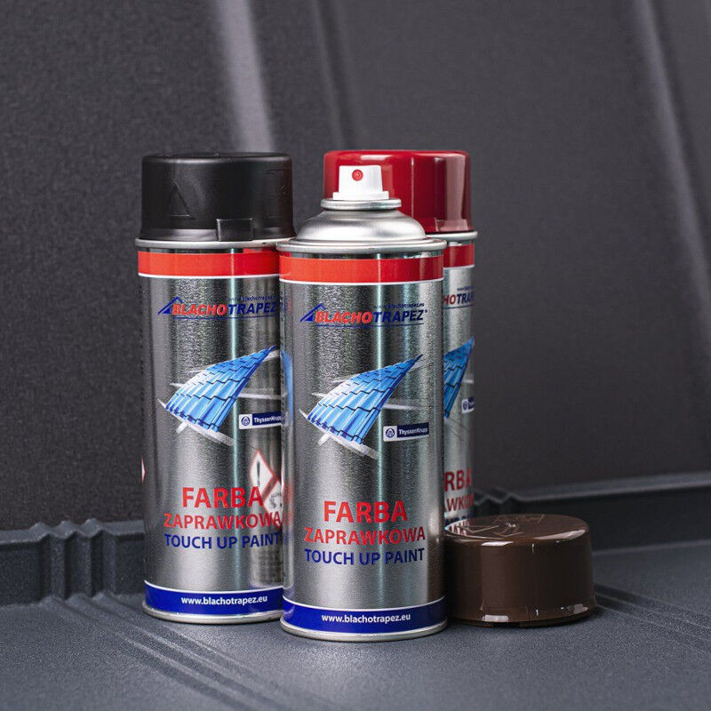 Ausbesserungsfarbe Spray 400 ml Ausbesserungsfarbe Spray 400 ml von Blachotrapez GmbH
