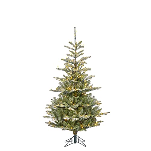 Black Box Trees Celtis Künstlicher Weihnachtsbaum mit LED-Beleuchtung – H185 x Ø112 cm – Grün mit Frostoptik von Black Box Trees