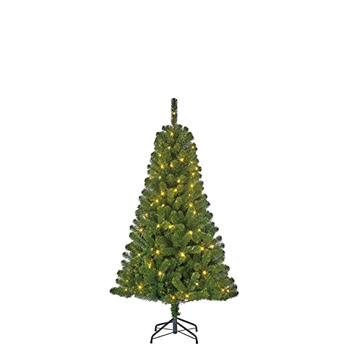 Black Box Trees Charlton Künstlicher Weihnachtsbaum mit LED-Beleuchtung – H155 x Ø91 cm – Grün von Black Box Trees