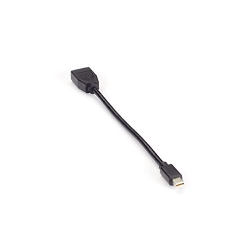 Black Box - Videoadapter Dongle - Mini DisplayPort 1.2 auf DisplayPort von Black Box