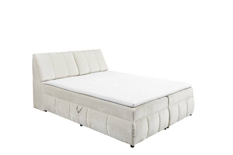 Black Red White Boxspringbett Boxbett VALENCIA 5 von Black Red White