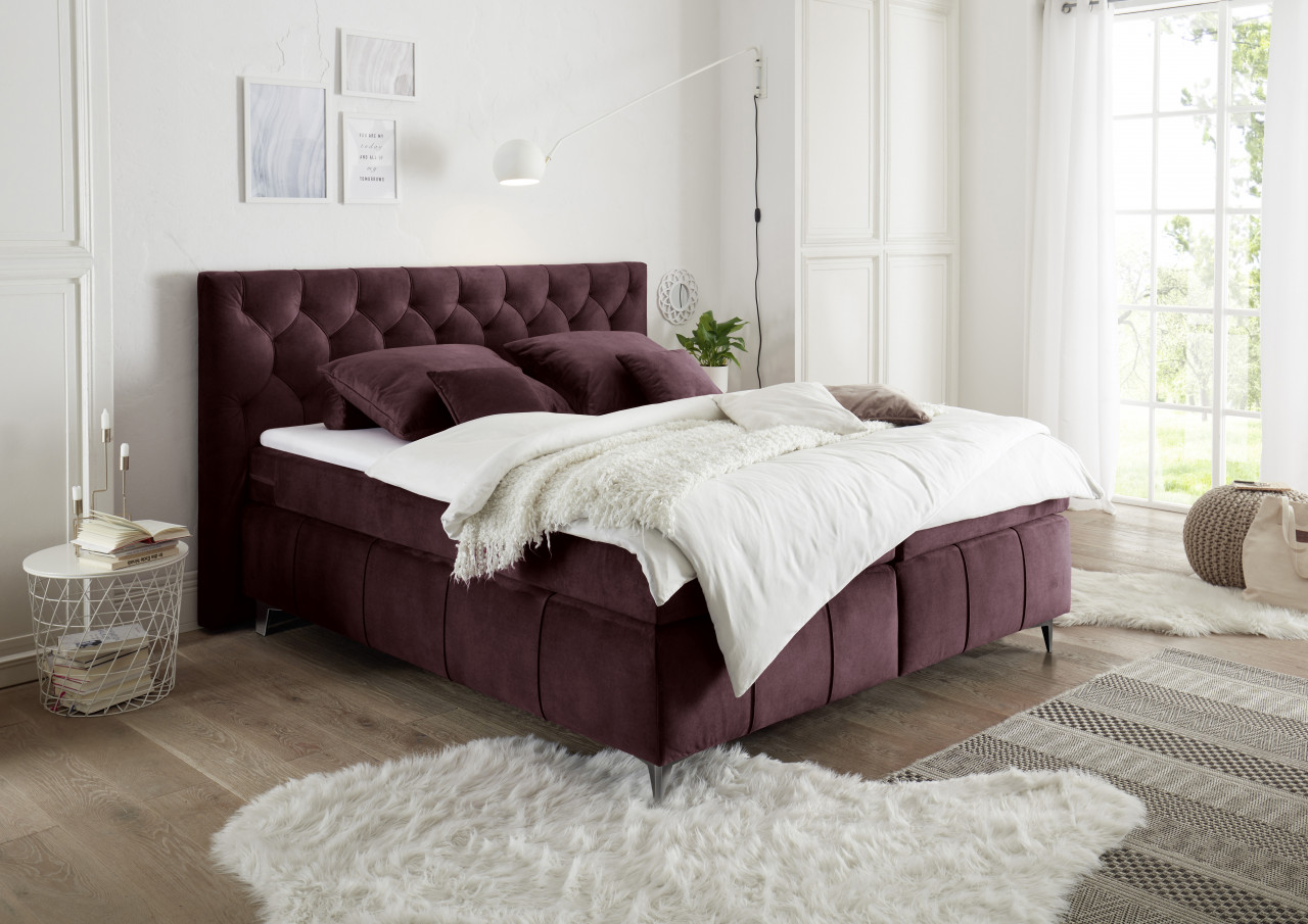 BlackRedWhite Pembroke Boxspringbett 180 x 200 cm Salvador 05 Aubergine Luxus-Mikrofaseer Samtoptik von BlackRedWhite