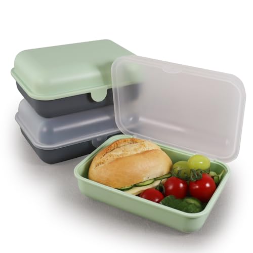 Blade Brotdose Kinder und Erwachsene Lunchbox Snackbox Meal Prep Box Frischhaltedose mit Deckel für Schule und Büro Vesperbox 3er-Set mit je ca. 1200 ml Volumen – gesamt 3600 ml.(GrünTransparent) von Blade